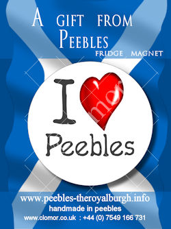 Bespoke magnet for Peebles